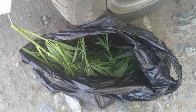 В Бердюжском районе полицейскими задержали подозреваемого в нзаконном хранении наркотиков